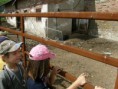 /album/farma-bitozeves/farma-bitozeves-13-jpg/